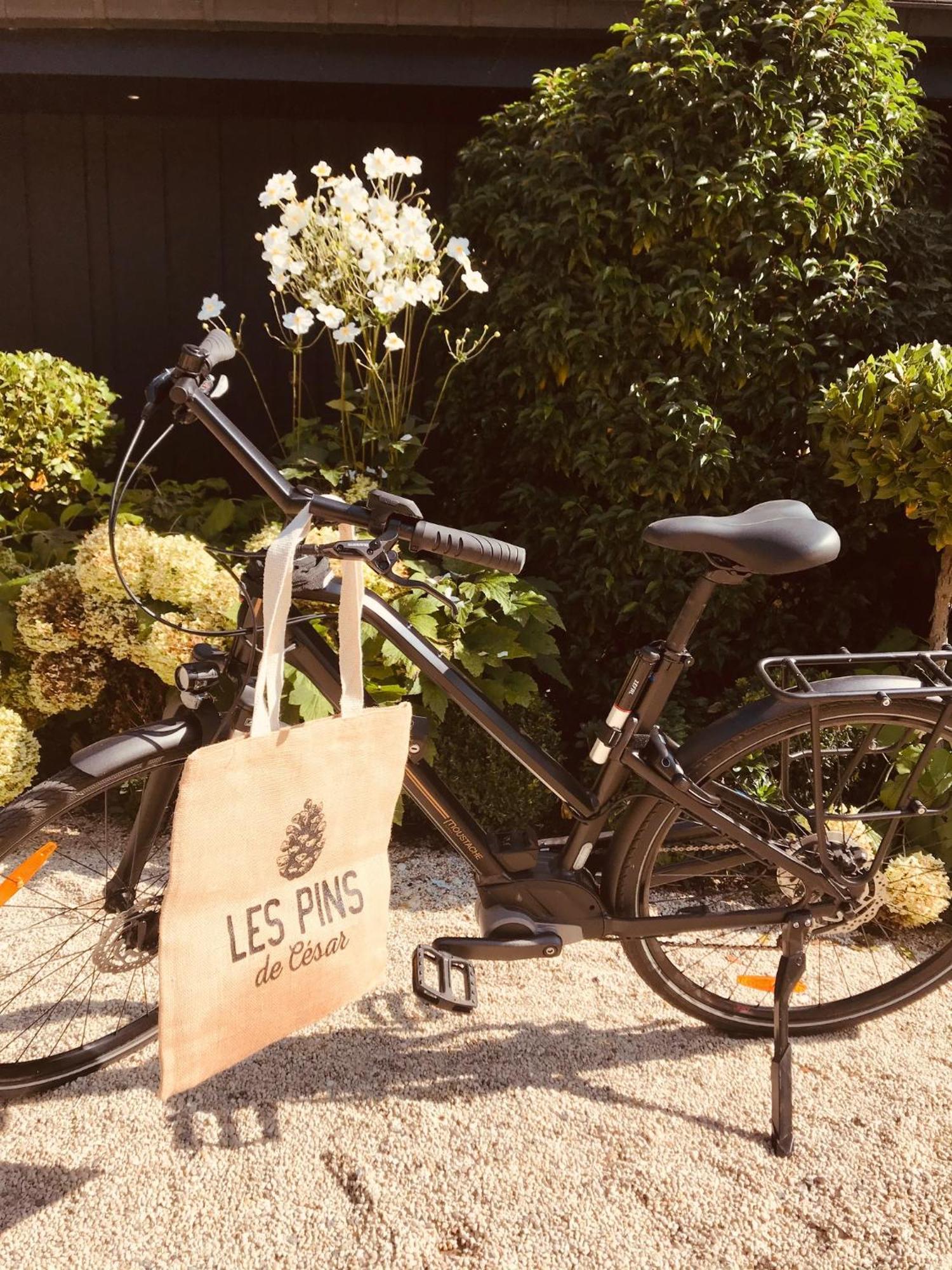 Les Pins De Cesar - La Campagne D'Etretat Hotel Saint-Jouin-Bruneval Eksteriør billede