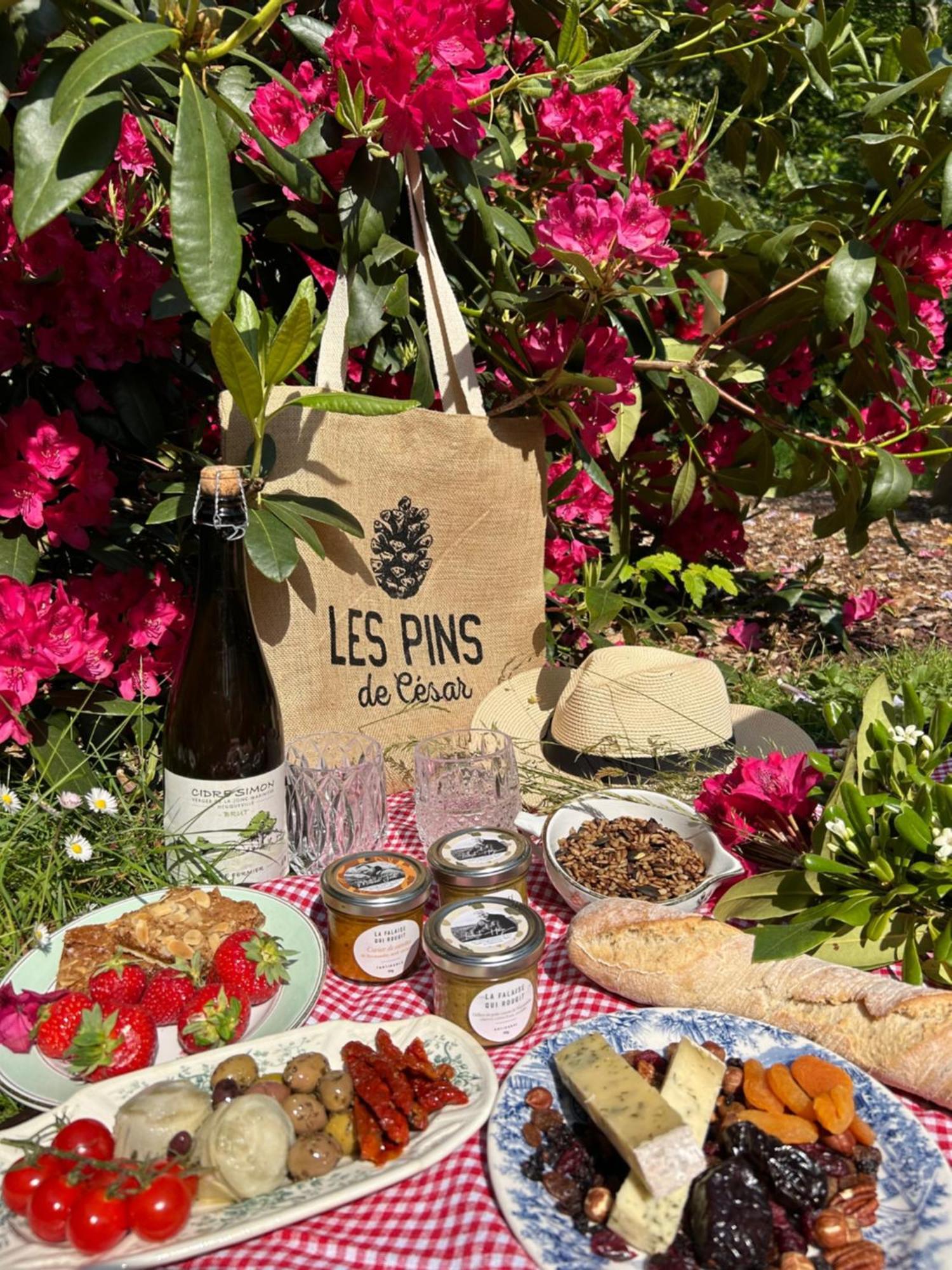 Les Pins De Cesar - La Campagne D'Etretat Hotel Saint-Jouin-Bruneval Eksteriør billede