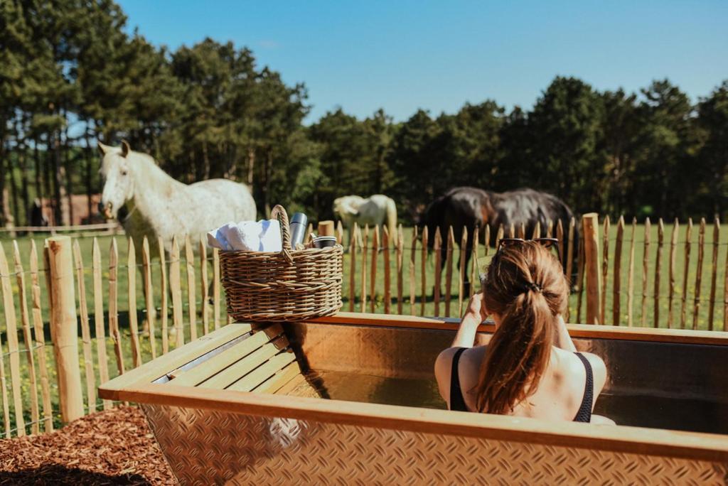 Les Pins De Cesar - La Campagne D'Etretat Hotel Saint-Jouin-Bruneval Eksteriør billede