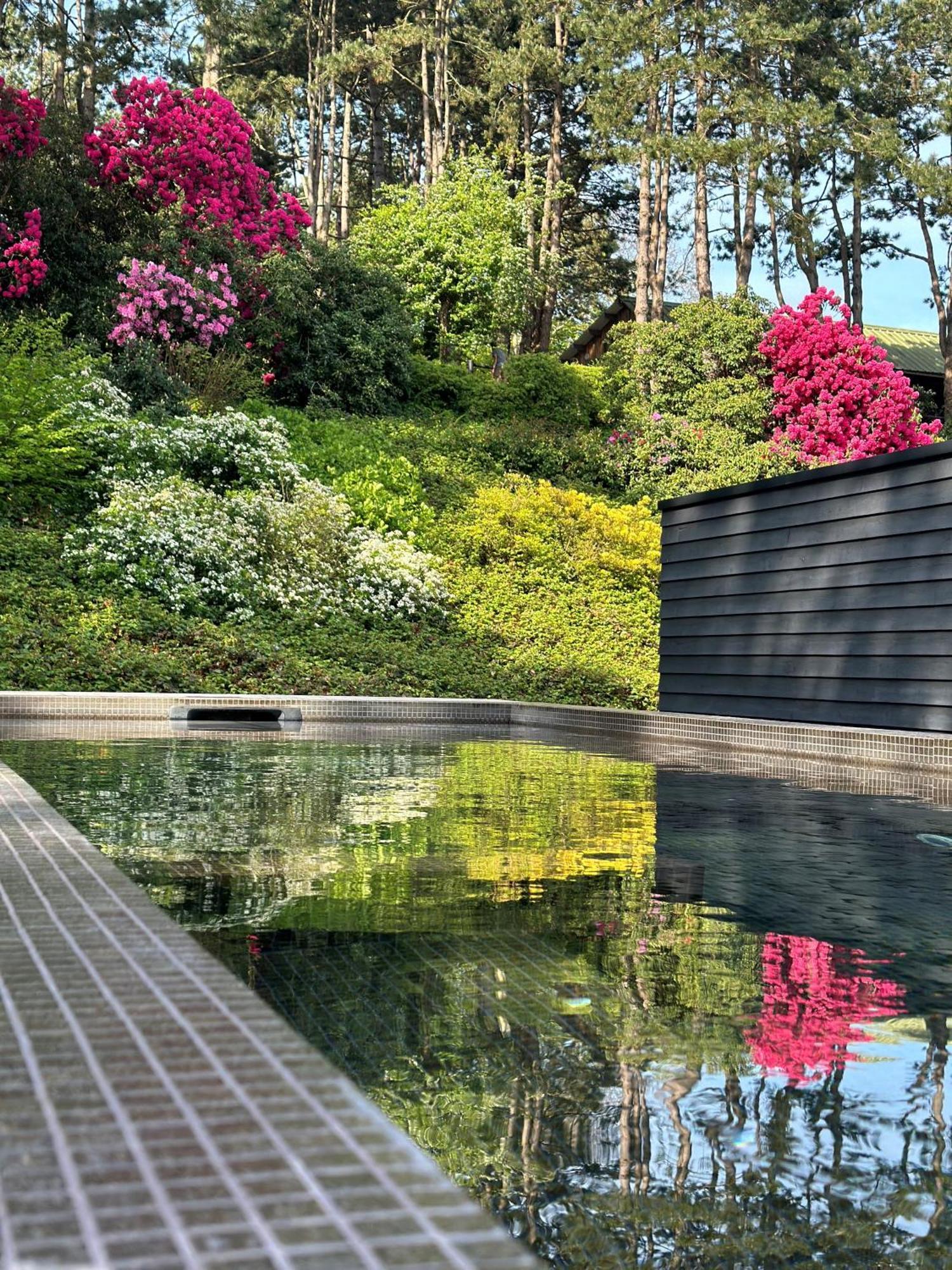 Les Pins De Cesar - La Campagne D'Etretat Hotel Saint-Jouin-Bruneval Eksteriør billede